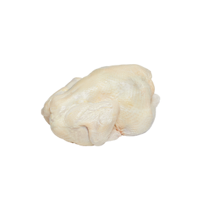 äntu broiler